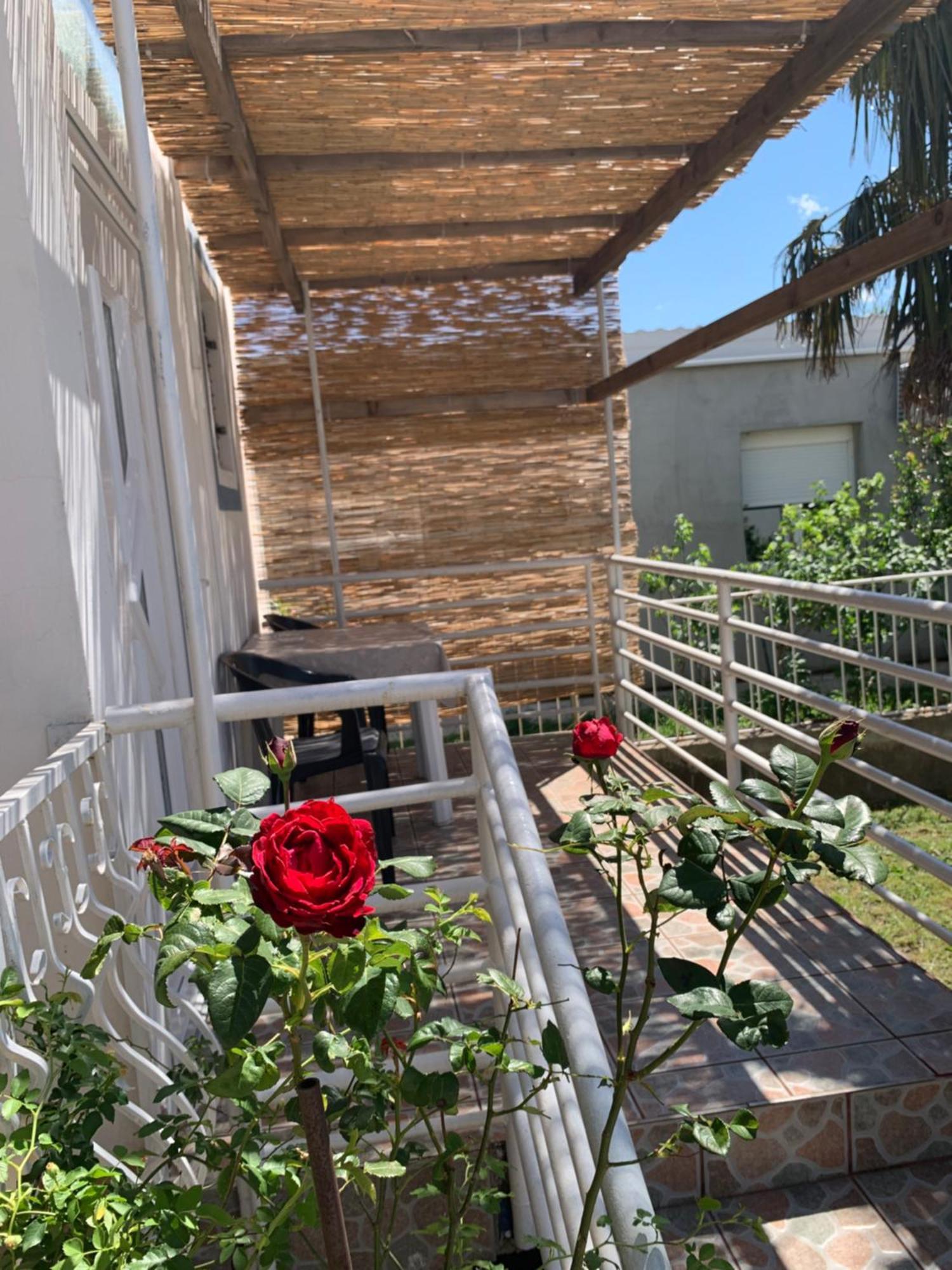 Apartmani Antonela Seline Luaran gambar